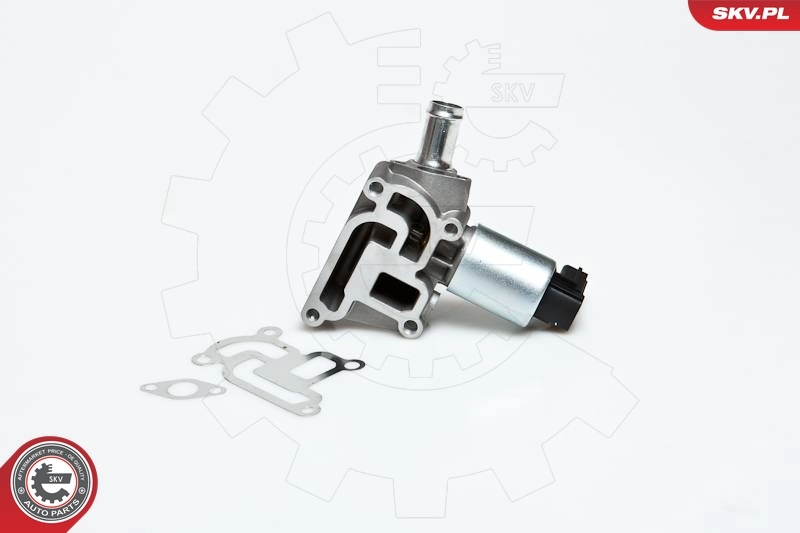 EGR Valve
